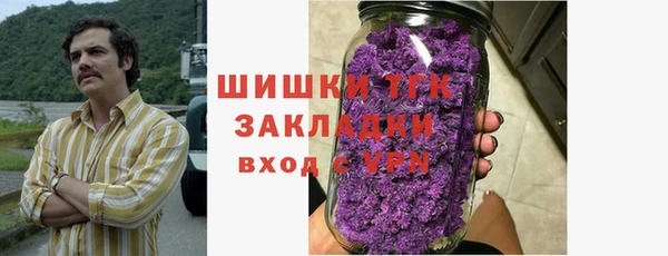стаф Бородино