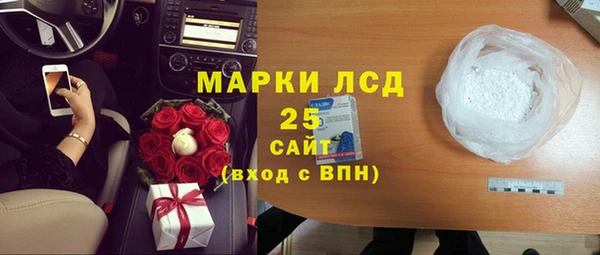 стаф Бородино