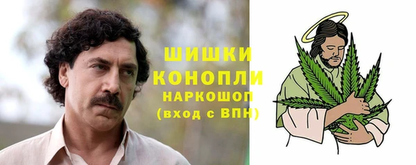 стаф Бородино