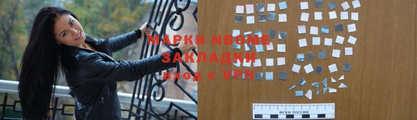 стаф Бородино