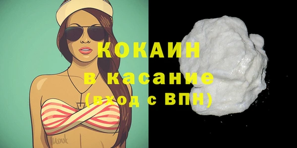стаф Бородино