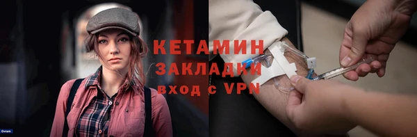 стаф Бородино