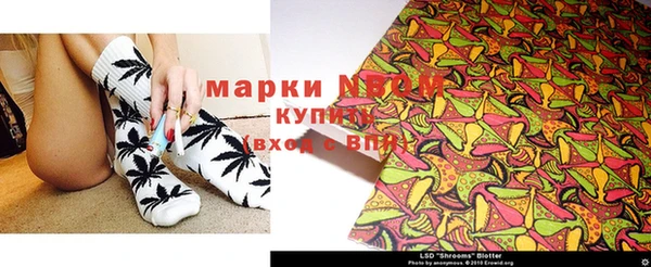стаф Бородино