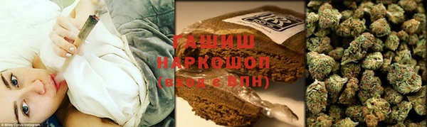 стаф Бородино