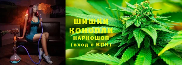 сатива Верхний Тагил