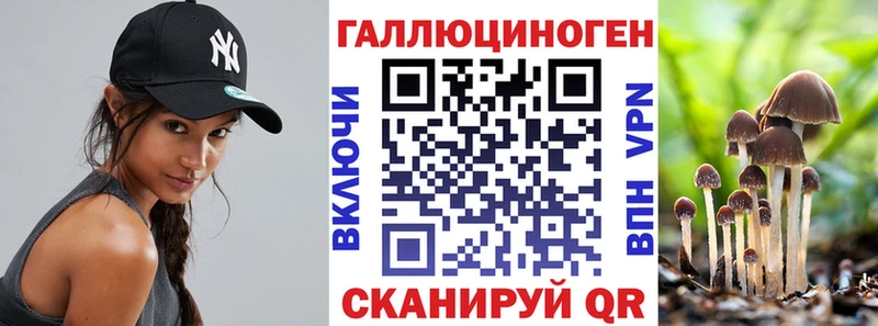 цена наркотик  Цоци-Юрт  KRAKEN как зайти  Галлюциногенные грибы Magic Shrooms 